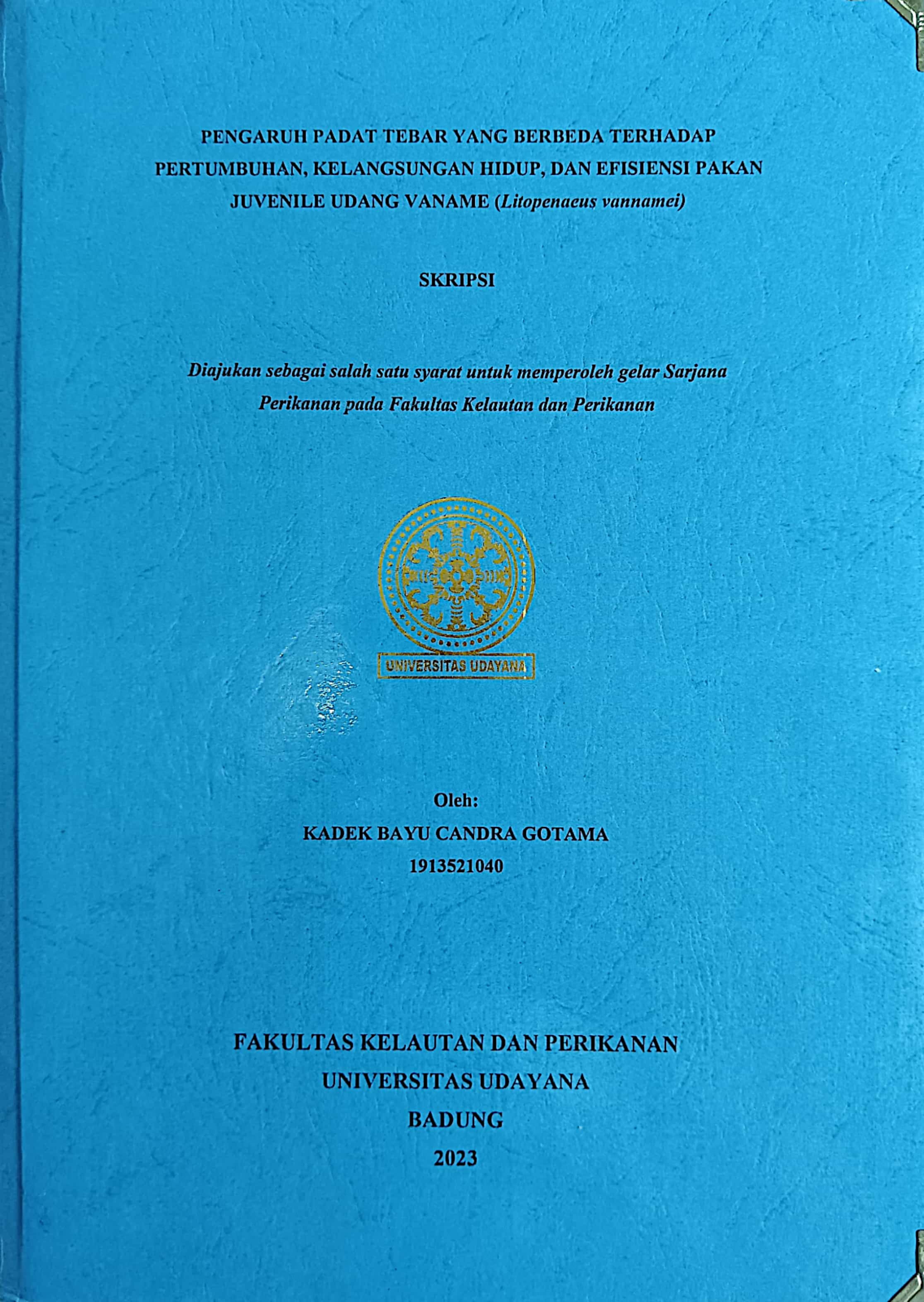 20240725023059_Kadek Bayu.jpg